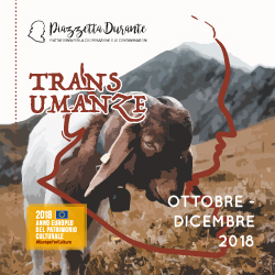 articolo-sito
